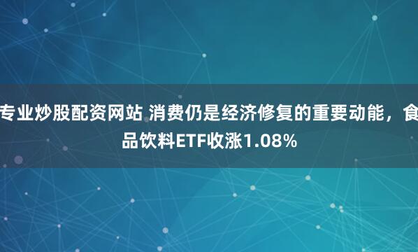 专业炒股配资网站 消费仍是经济修复的重要动能，食品饮料ETF收涨1.08%