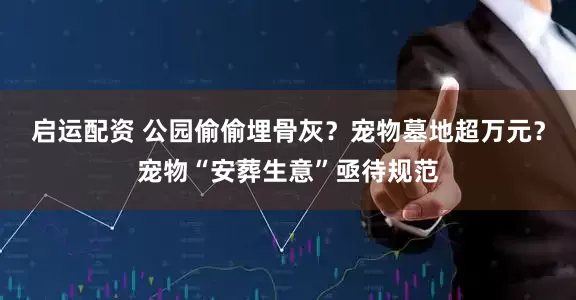 启运配资 公园偷偷埋骨灰？宠物墓地超万元？宠物“安葬生意”亟待规范
