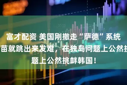 富才配资 美国刚撤走“萨德”系统，高市早苗就跳出来发难，在独岛问题上公然挑衅韩国！